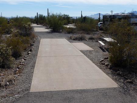 Pull-thru campsite with picnic table and grill, cactus and desert vegetation surround site.  Site 027