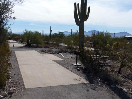 Pull-thru campsite with picnic table and grill, cactus and desert vegetation surround site.  Site 028