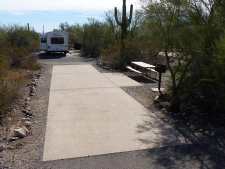 Pull-thru campsite with picnic table and grill, cactus and desert vegetation surround site.  Site 029