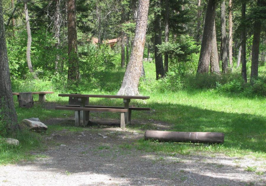 Site 003, Pine Creek Campground - Recreation.gov