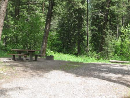 Site 13, campsite surrounded by pine trees, picnic table & fire ringSite 13