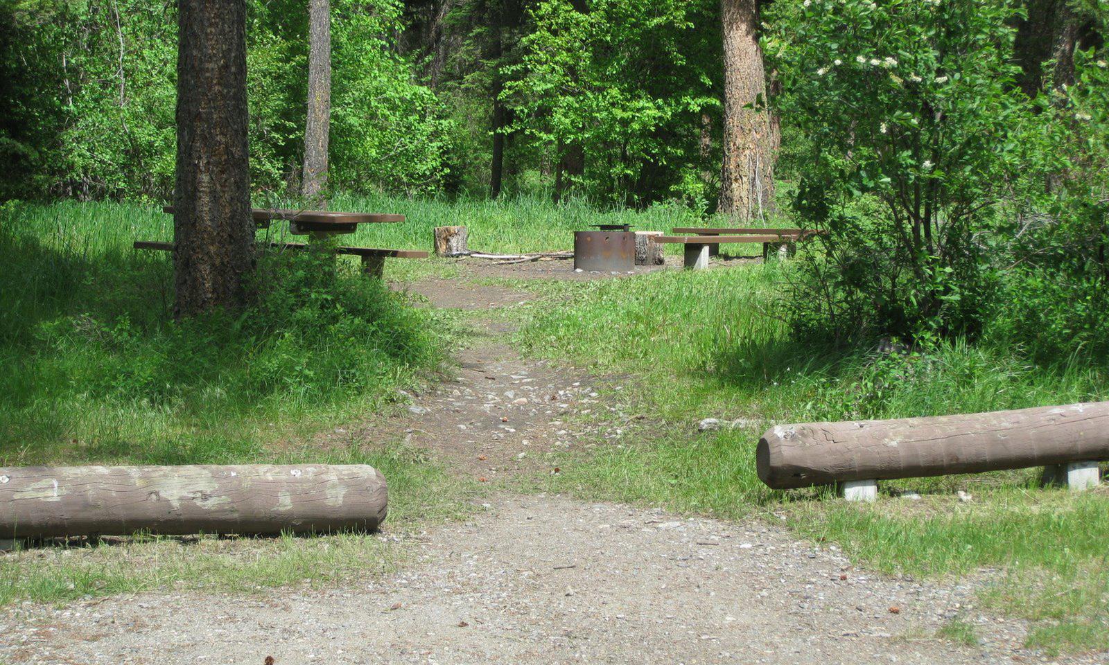 Site 16, campsite surrounded by pine trees, picnic table & fire ringSite 16