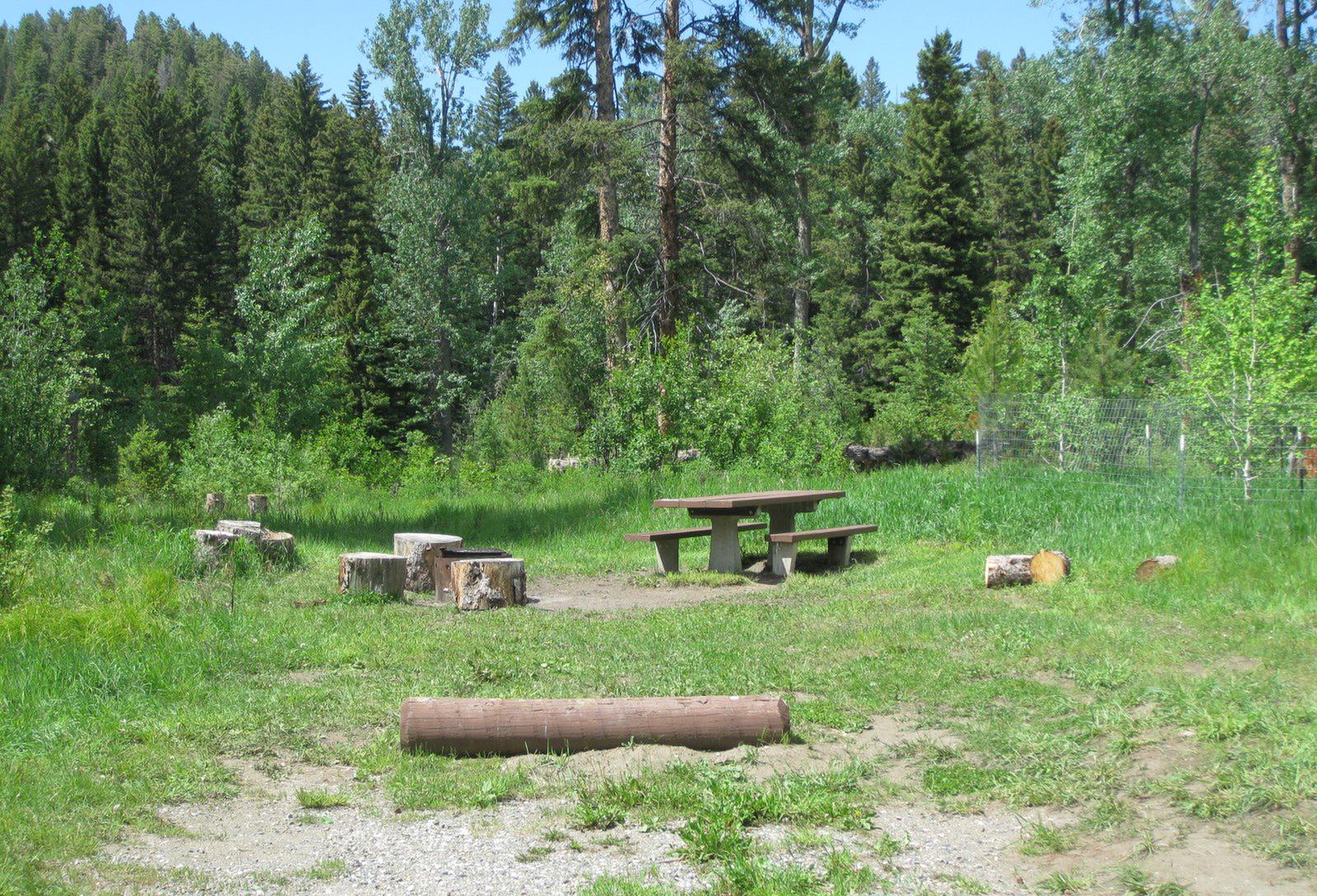 Site 19, campsite surrounded by pine trees, picnic table & fire ringSite 19