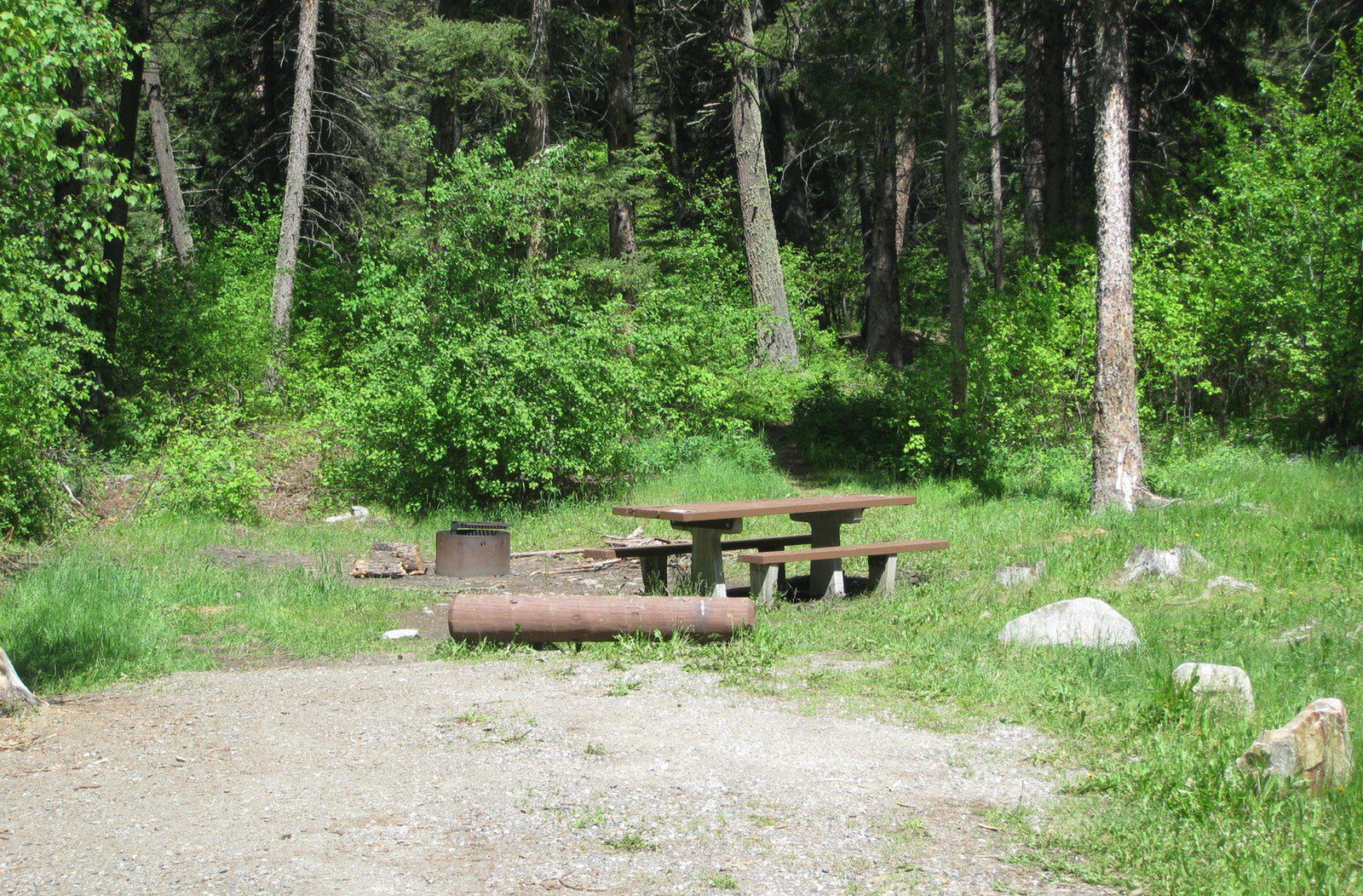 Site 22, campsite surrounded by pine trees, picnic table & fire ringSite 22