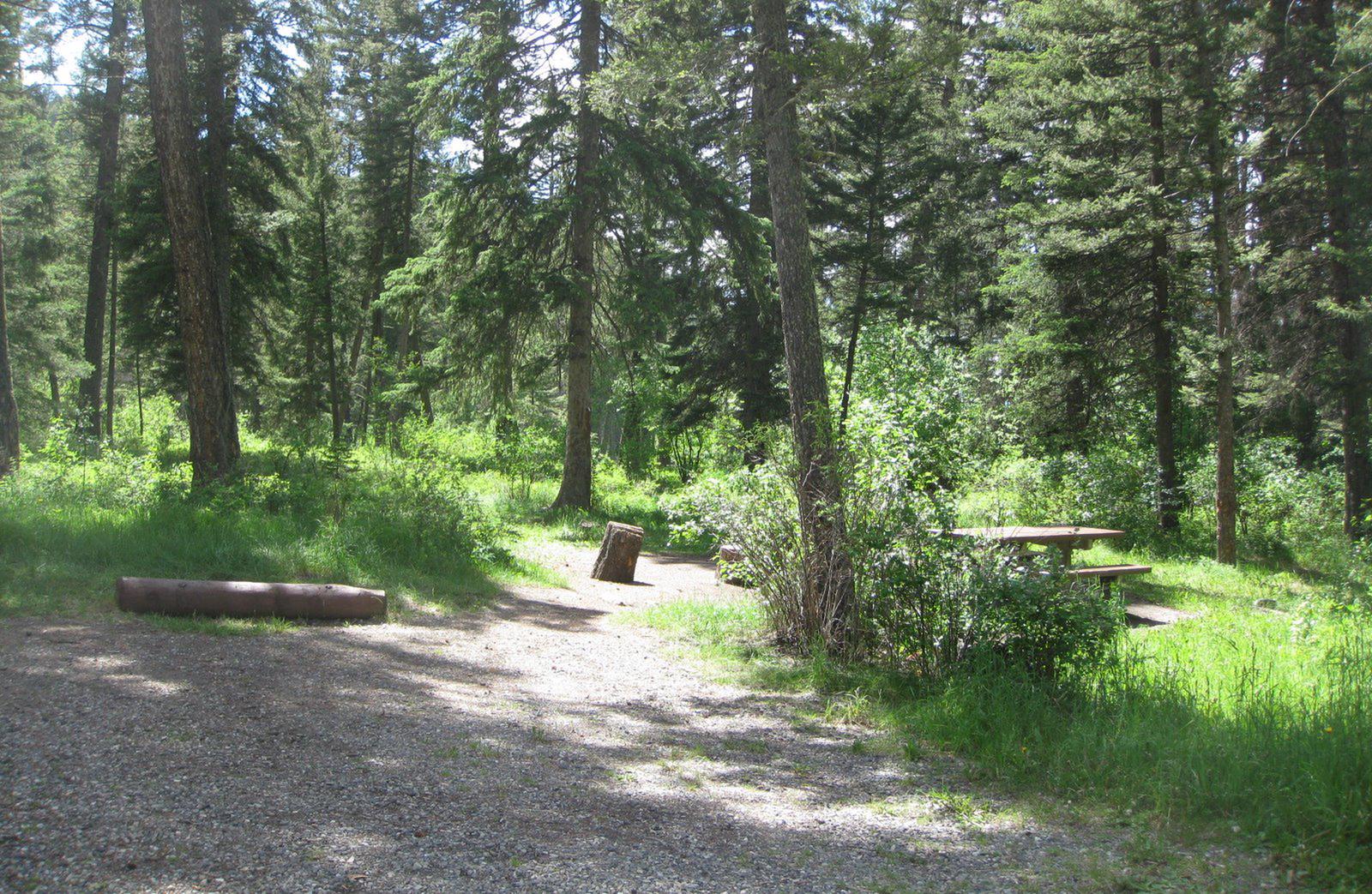 Site 23, campsite surrounded by pine trees, picnic table & fire ringSite 23