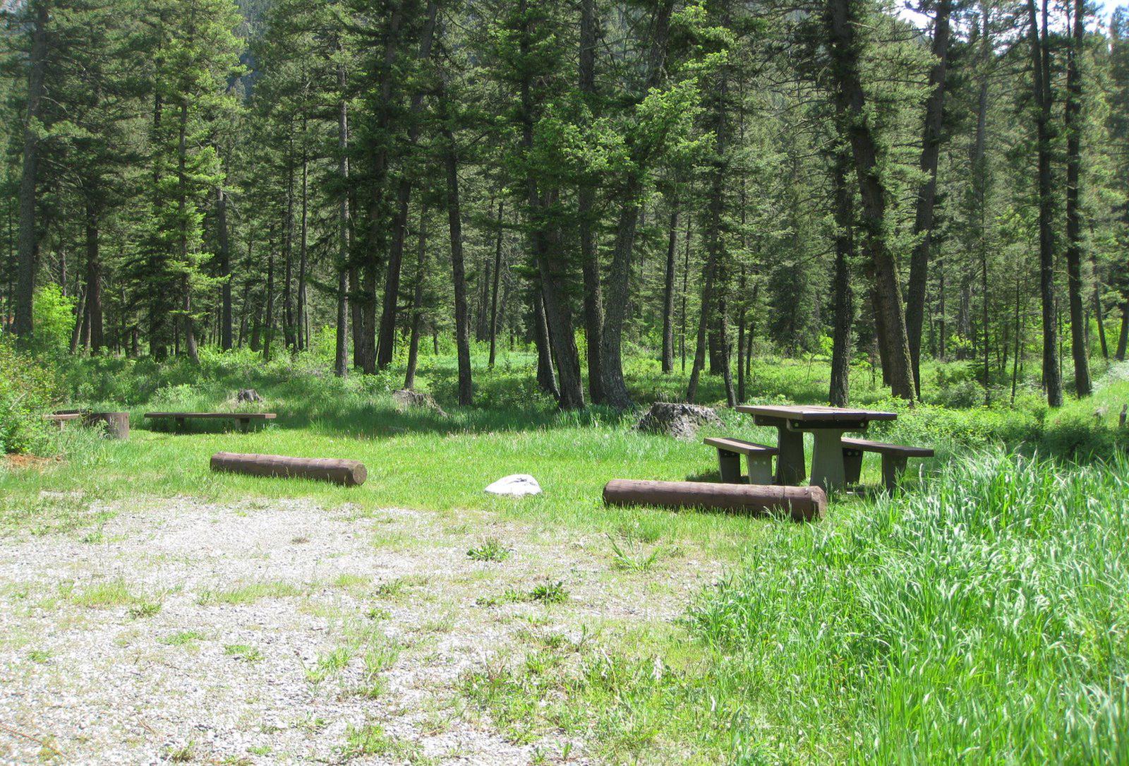 Site 24, campsite surrounded by pine trees, picnic table & fire ringSite 24