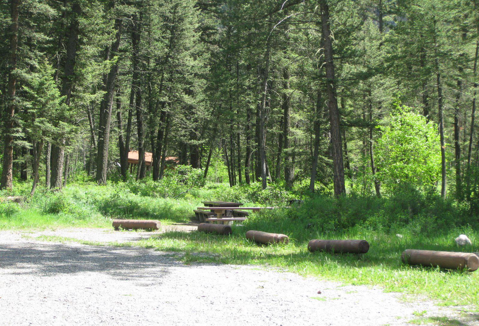 Group Area Site 26 - campsite surrounded by pine trees, picnic table & fire ringSite 26