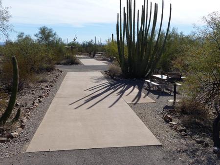 Pull-thru campsite with picnic table and grill, cactus and desert vegetation surround site.  Site 030