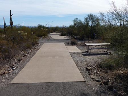 Pull-thru campsite with picnic table and grill, cactus and desert vegetation surround site.  Site 031