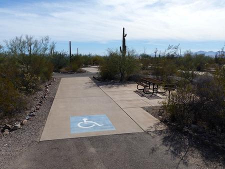Pull-thru campsite with picnic table and grill, cactus and desert vegetation surround site.  Handicap logo painted on the ground.Site 032