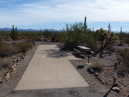 Pull-thru campsite with picnic table and grill, cactus and desert vegetation surround site.  Site 34