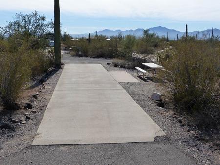 Pull-thru campsite with picnic table and grill, cactus and desert vegetation surround site.  Site 036