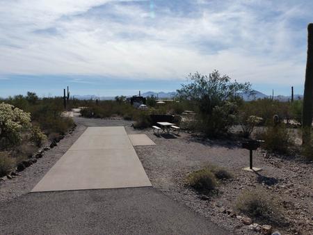 Pull-thru campsite with picnic table and grill, cactus and desert vegetation surround site.  Site 037