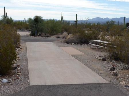 Pull-thru campsite with picnic table and grill, cactus and desert vegetation surround site.  Site 038