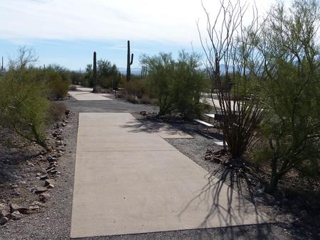 Pull-thru campsite with picnic table and grill, cactus and desert vegetation surround site.  Site 39