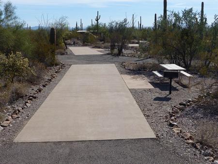 Pull-thru campsite with picnic table and grill, cactus and desert vegetation surround site.  Site 042