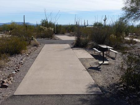 Pull-thru campsite with picnic table and grill, cactus and desert vegetation surround site.  Site 043