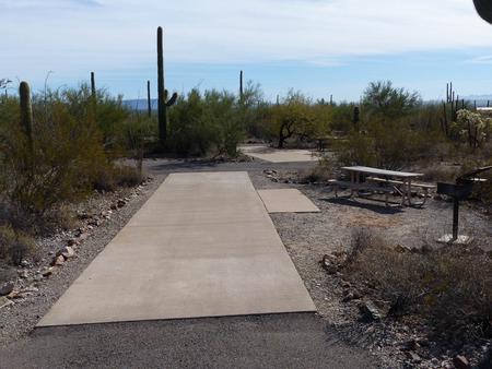 Pull-thru campsite with picnic table and grill, cactus and desert vegetation surround site.  Site 044