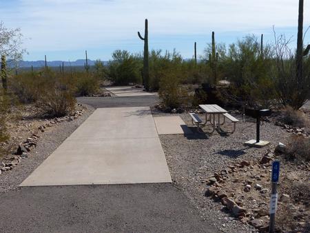 Pull-thru campsite with picnic table and grill, cactus and desert vegetation surround site.  Site 045