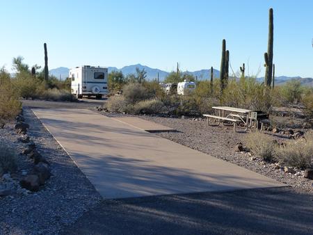 Pull-thru campsite with picnic table and grill, cactus and desert vegetation surround site.  Site 046