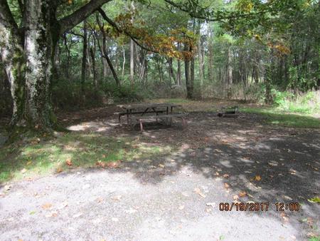 Site F162 with Picnic Table 
