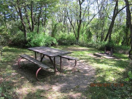 Site F167 with Picnic Table