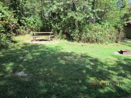 Site F171 with Picnic Table