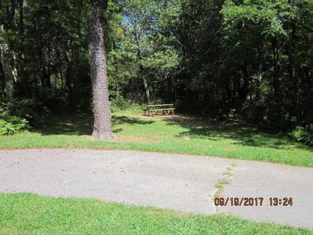 Site F175 with Picnic Table