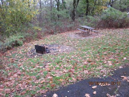 Site G181 with Picnic Table and Grill