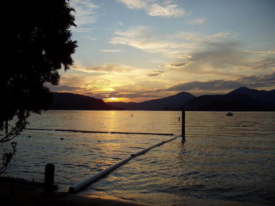 springy point campground sandpoint