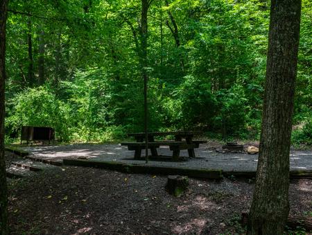 Site 6 at North MillsSite 6 includes a picnic table, fire ring, and food storage box. 