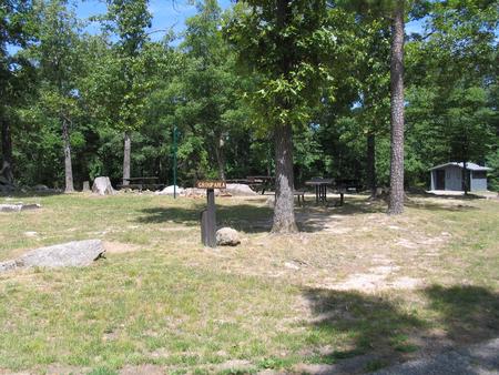 Group site showing picnic tables, vault toilet, fire ring, lantern post and grillGroup site