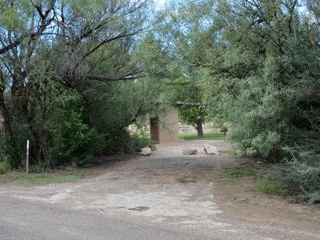 View of the driveway leading into site 20 from the main road. The driveway is surrounded by trees, some with low-hanging branches. There is a shade shelter at the end of the driveway, just behind some trees in the distance.Driveway from the main road.