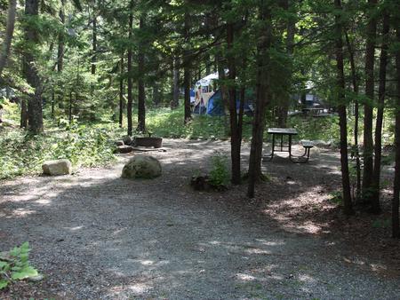 Site A001 (admin), Blackwoods Campground - Recreation.gov