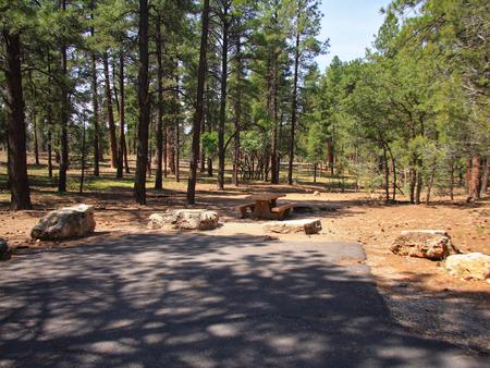Picnic table, fire pit, and parking spot, Mather CampgroundPicnic table, fire pit, and parking spot for Juniper Loop 145, Mather Campground