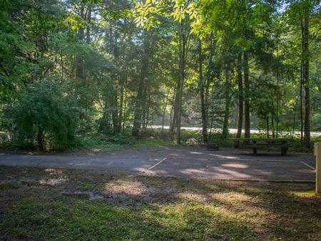 Davidson River Campground - Sycamore Loop, Site 001