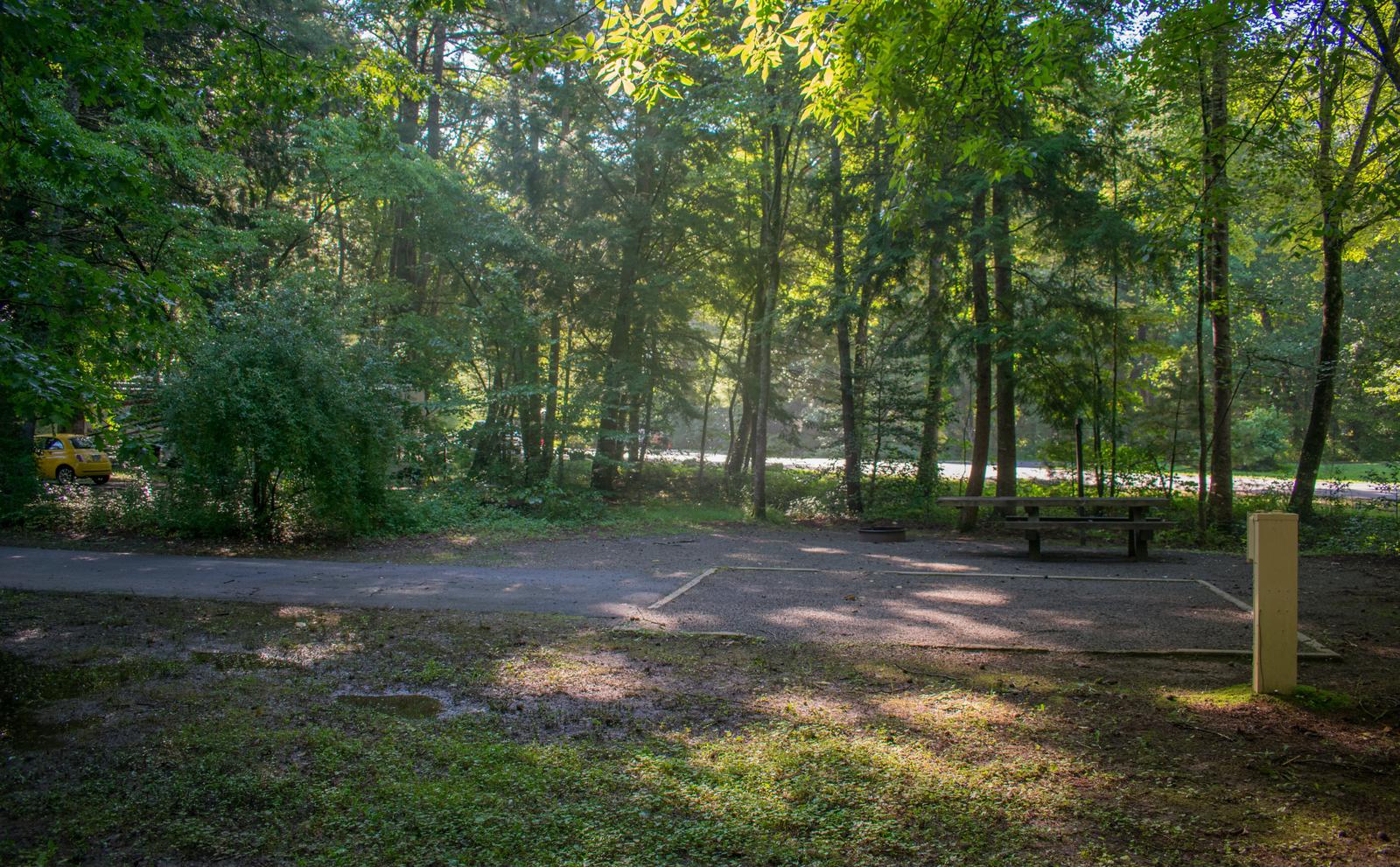 Davidson River Campground - Sycamore Loop, Site 001