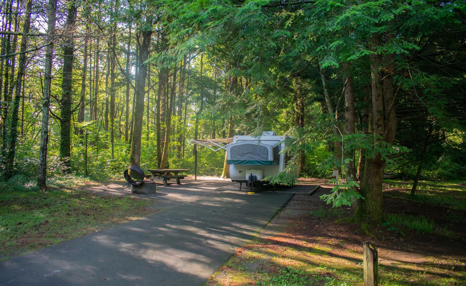 Davidson River Campground - Sycamore Loop, Site 004