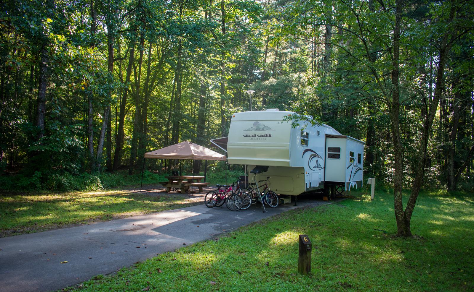 Davidson River Campground - Sycamore Loop, Site 006