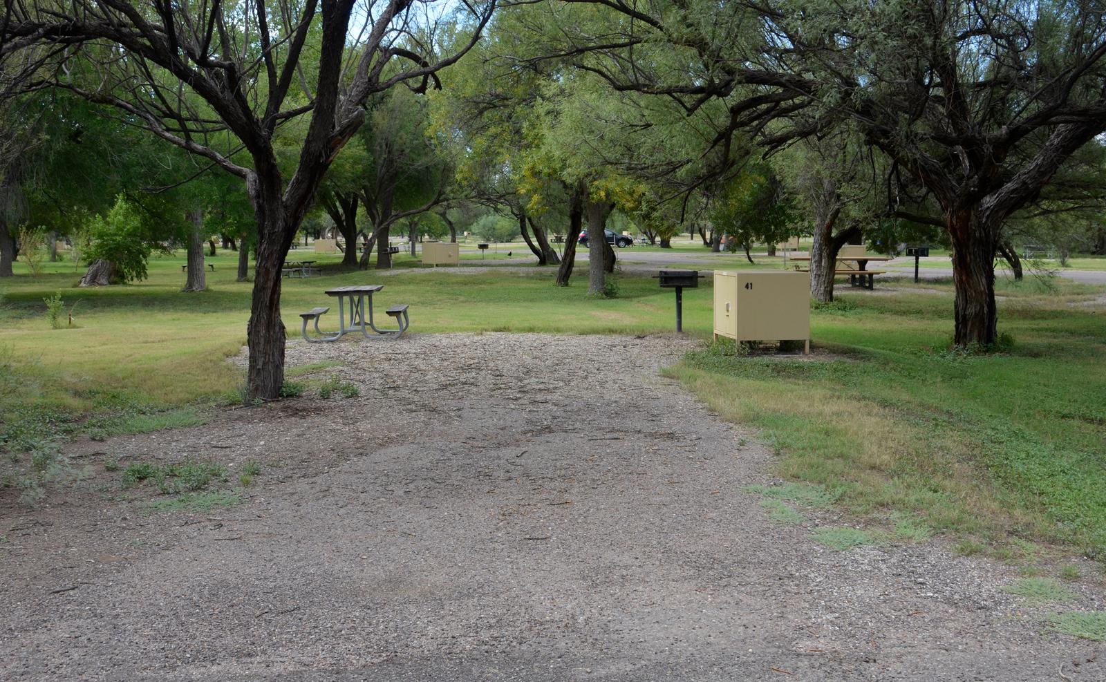 View of the driveway and main site area from the road. The gravel driveway leads into the site, with a picnic table on one side, and a metal grill and bear box on the other. There is a large field with trees growing just behind the site, where there is plenty of space to pitch a tent or shelter. There is no shade or shelter provided in this site.View of the driveway and main site area