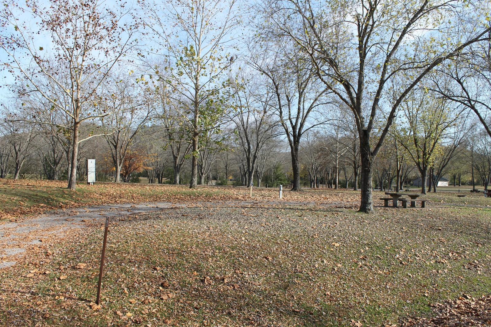 Site 46 Defeated Creek Campground