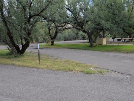 View of the pull-through driveway for site 43. The pull-through driveway is large and can accommodate most RVs and vehicles. There is a grassy area next to the driveway with a bear box, metal grill, and picnic table, and plenty of space to pitch a tent or shelter. Paved pull-through parking space