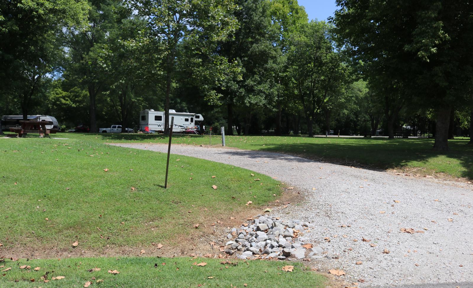 Site 50 Defeated Creek Campground