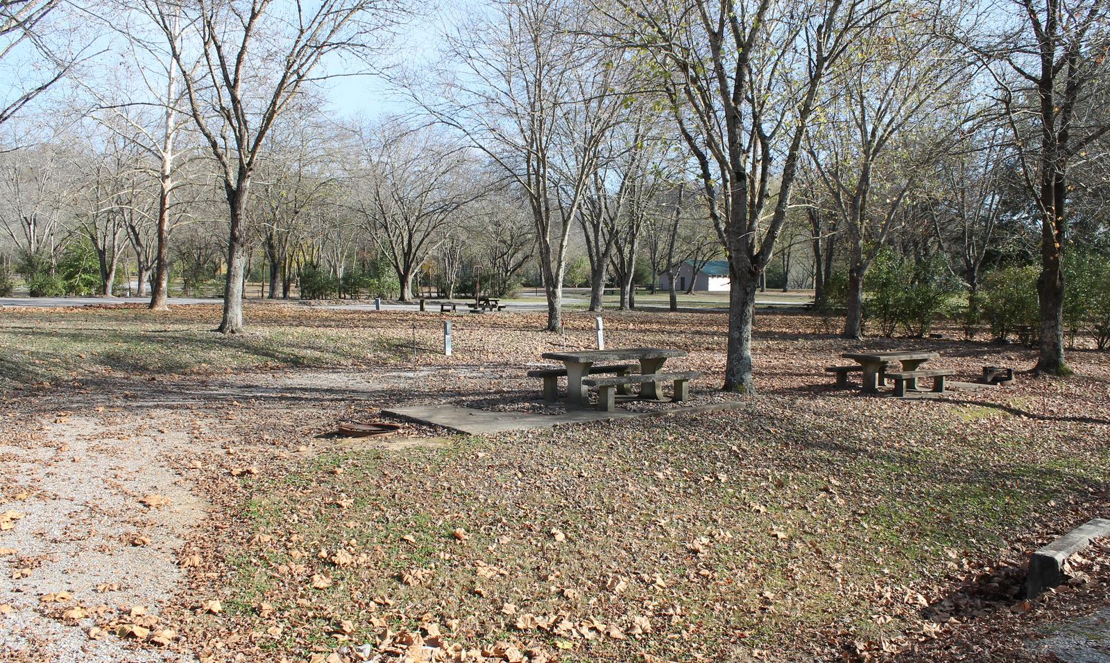 Site 51 Defeated Creek Campground