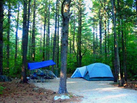 Cold River Campground Campsite