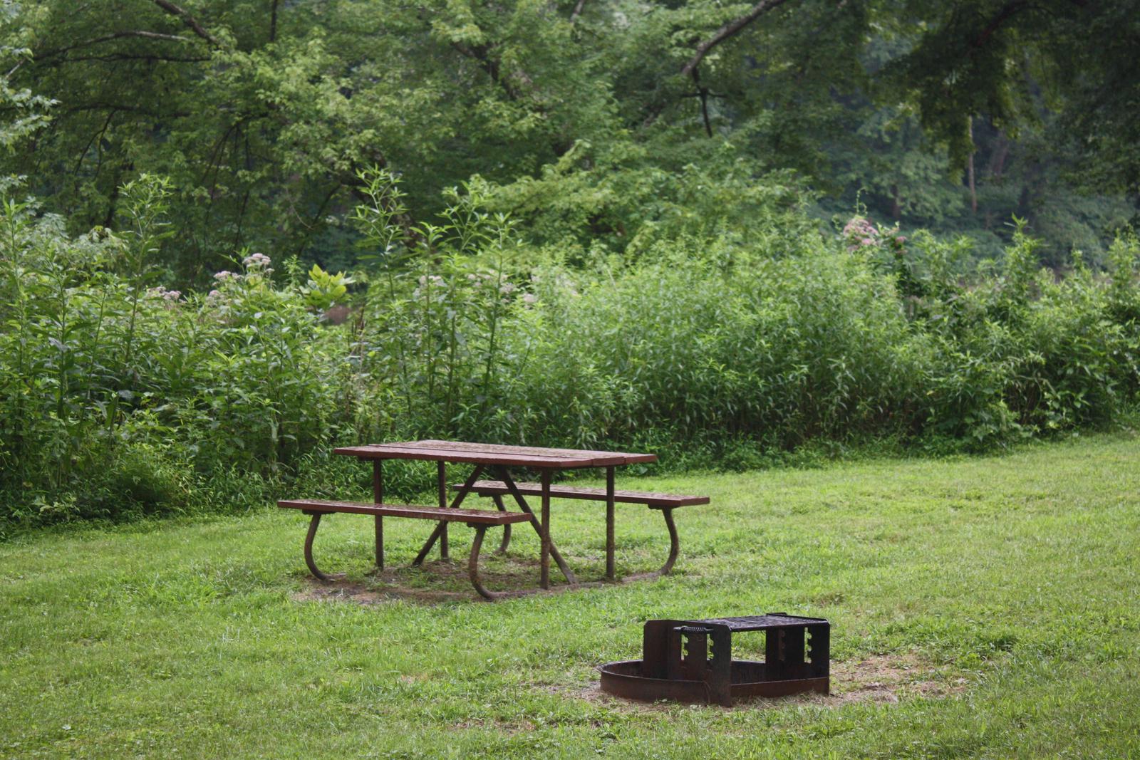 Campsite with picnic table and fire ring