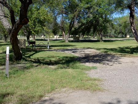 Rio Grande Village #89Site sits in the shade of the Cottonwoods