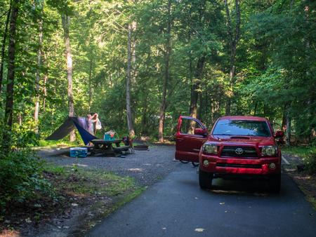 Davidson River Campground - Woak Loop, Site 021