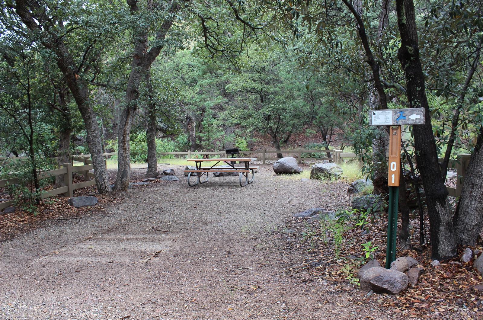 Campsite #1 is located next to Bonita Creek, which flows seasonally.Campsite #1