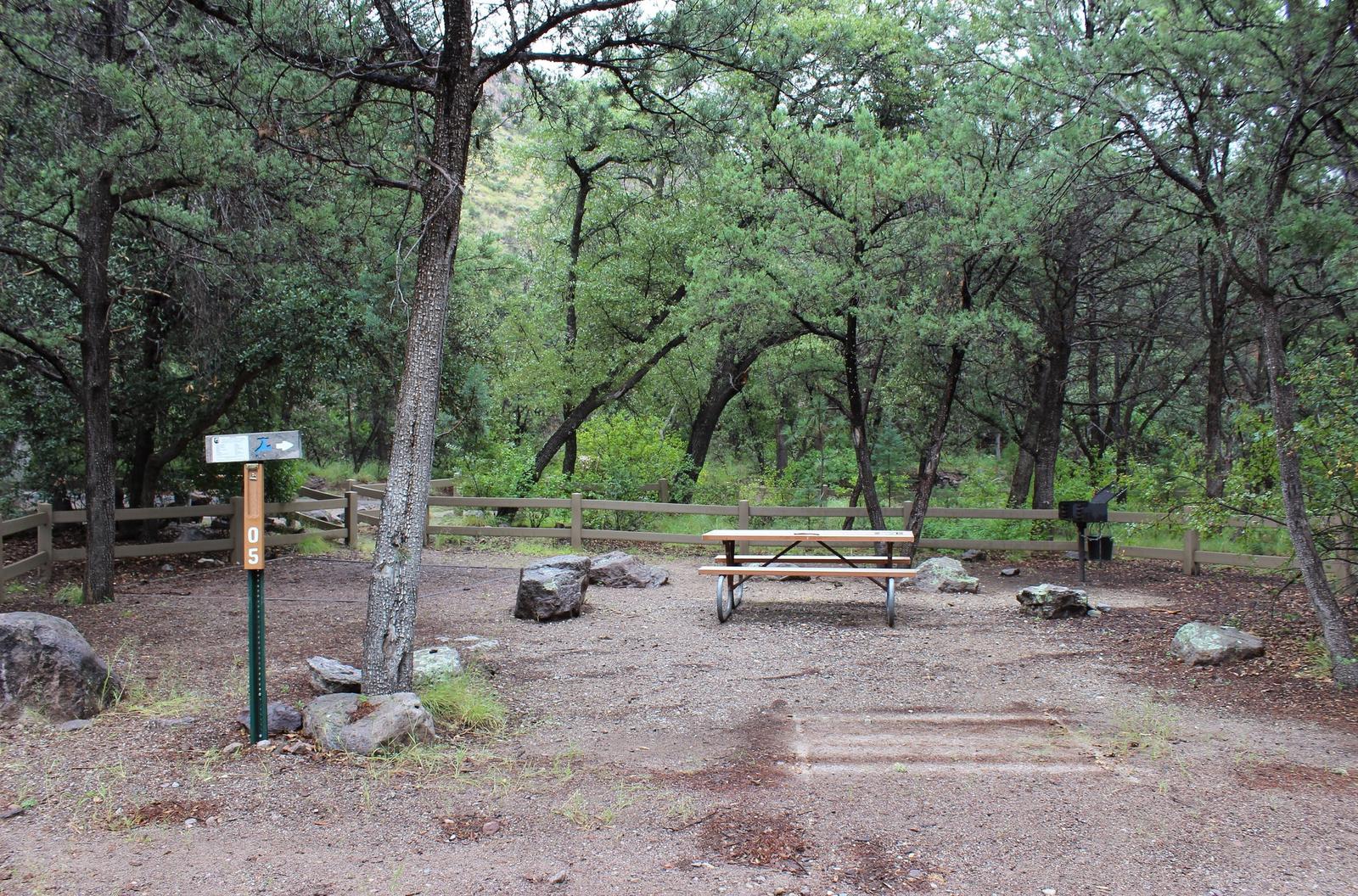 Campsite #5 is located on the inside of the loop.Campsite #5